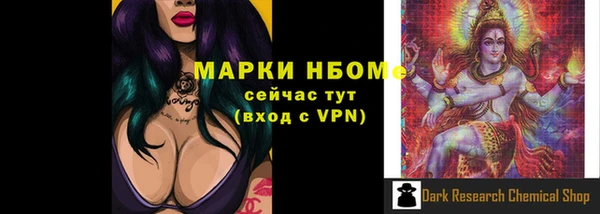 бошки Ельня