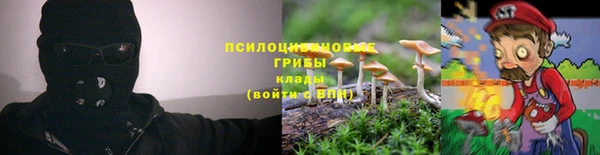 бошки Ельня