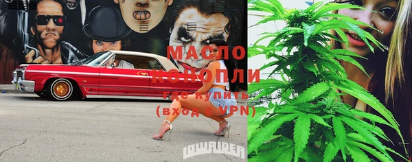 бошки Ельня